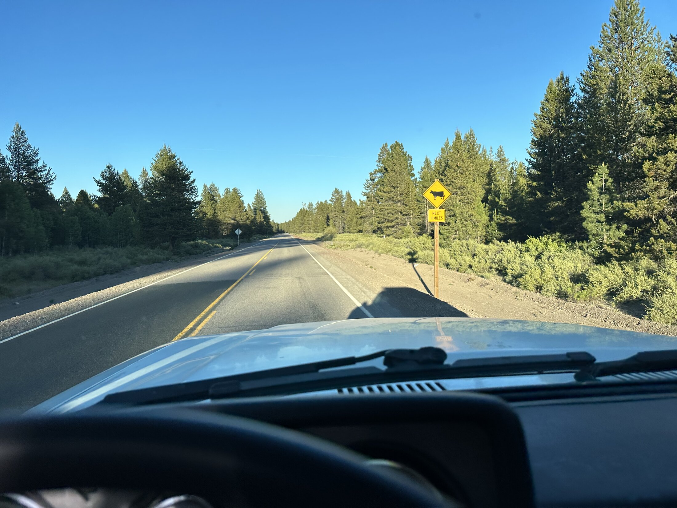 31F8CBDE-F574-4B4E-999C-C5417448B9F6.jpeg