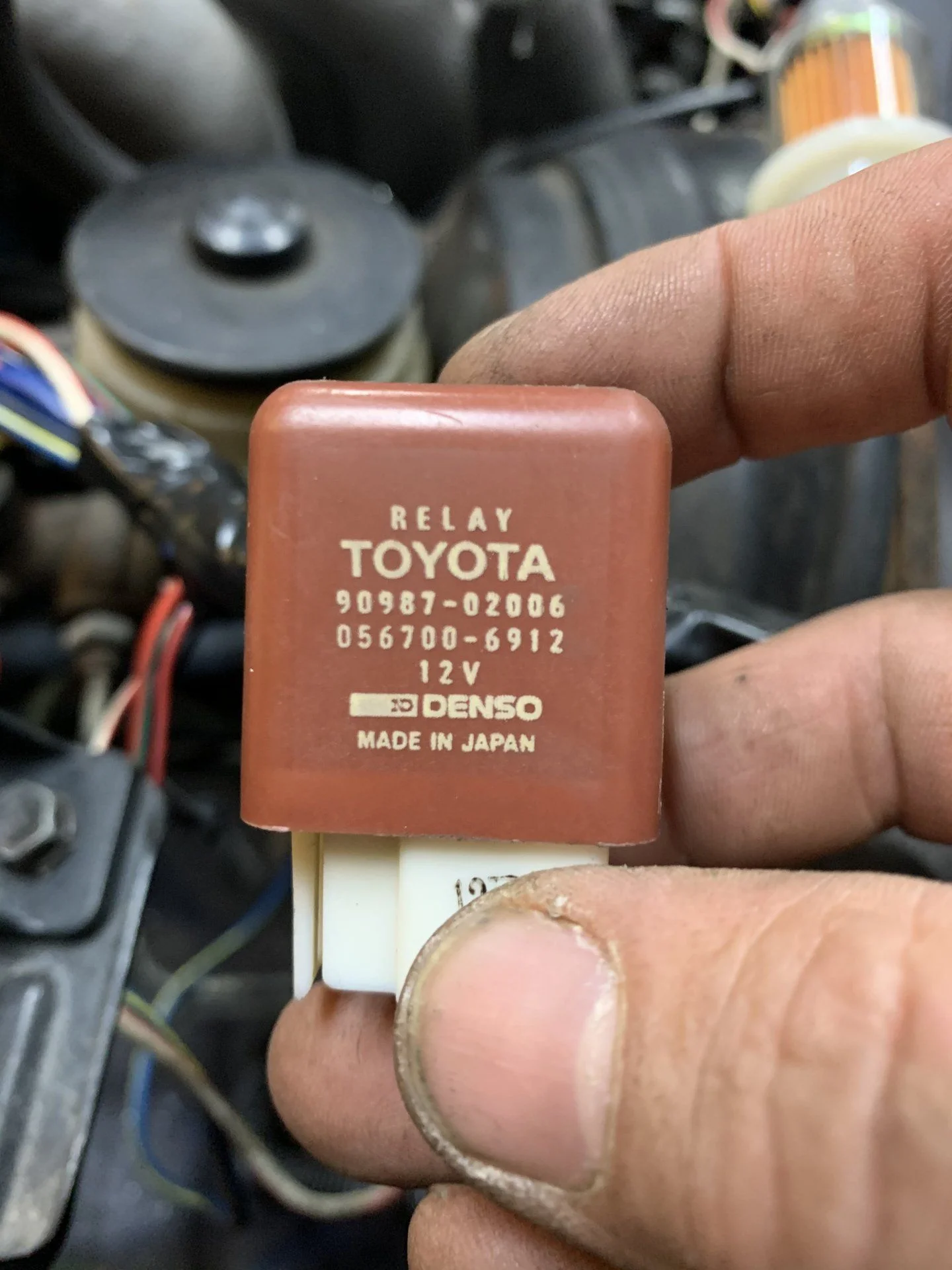 32E362FD-E55C-4901-86DF-ADEAC0AC70DE.jpeg