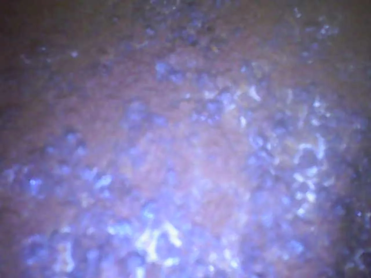 33644.webp
