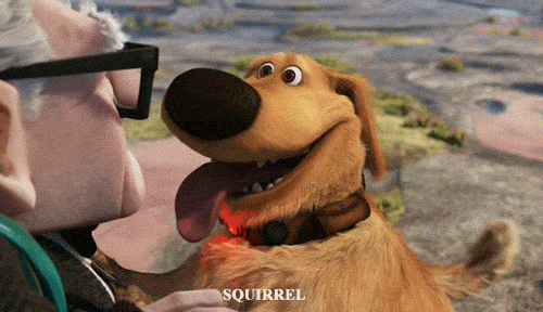 35E0AA85-DE89-4A74-8951-47701D7BBEA1.gif