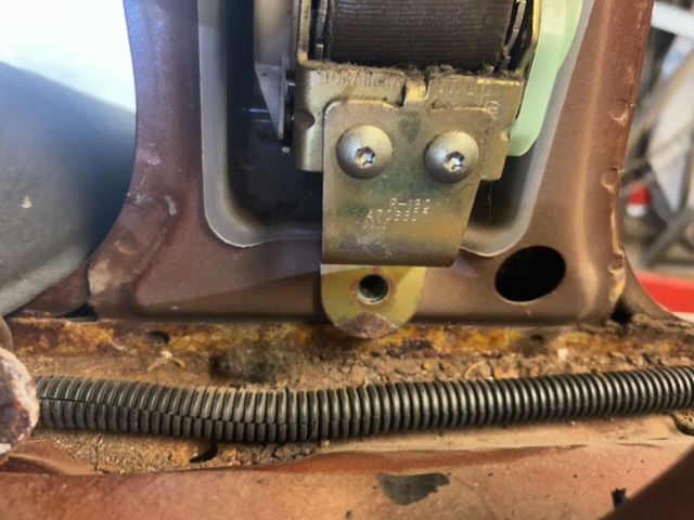 368060BA-D14E-4FAE-AAF0-203CF08211AC.jpeg