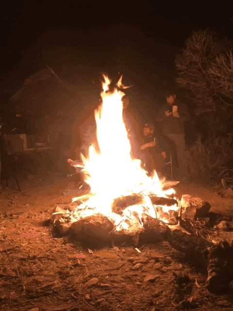 392CEBC0-A9C0-400B-8546-FCD83D4654CB.gif
