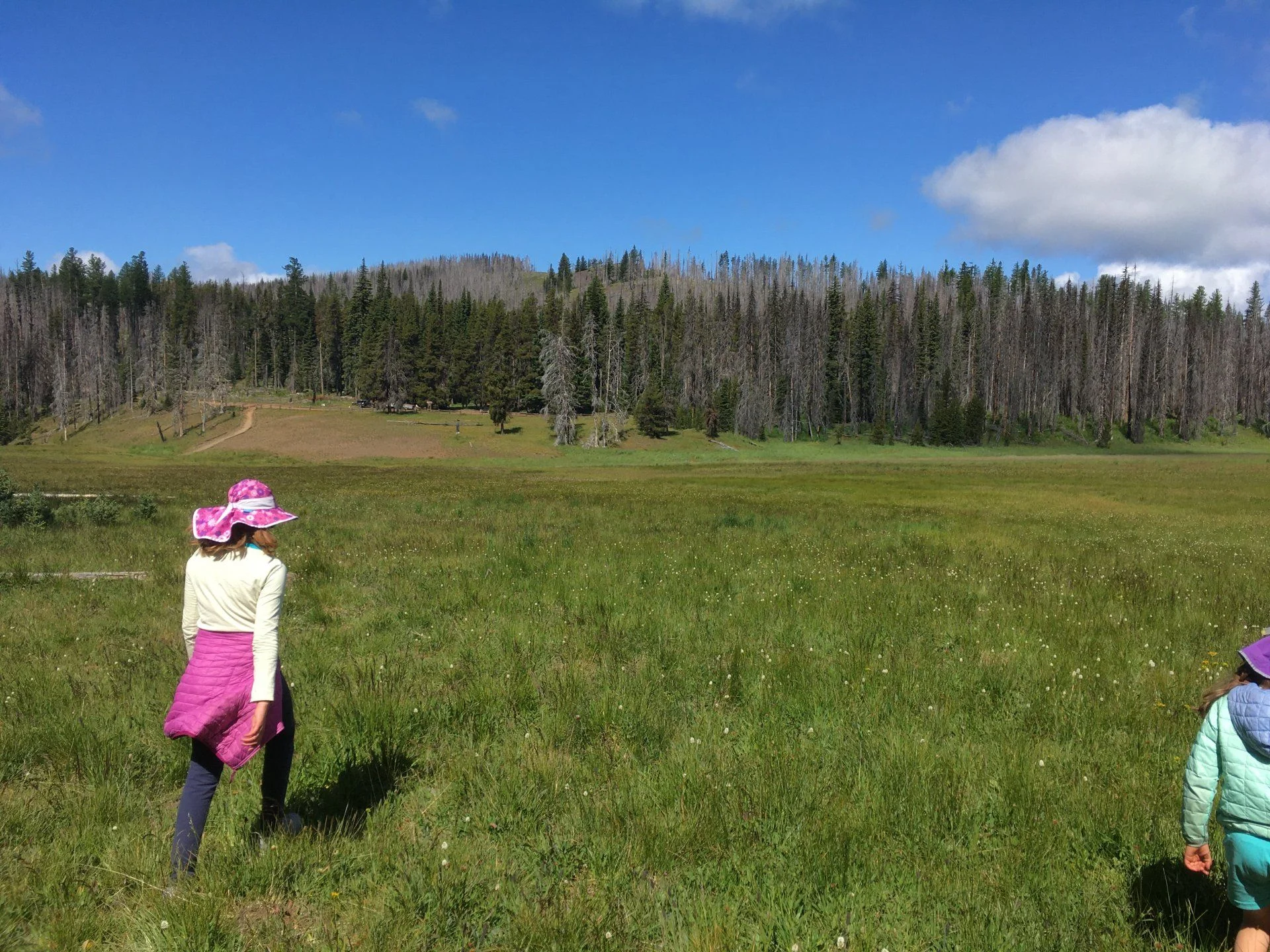 3A092521-31BF-4632-971E-C7D5E325F119.webp