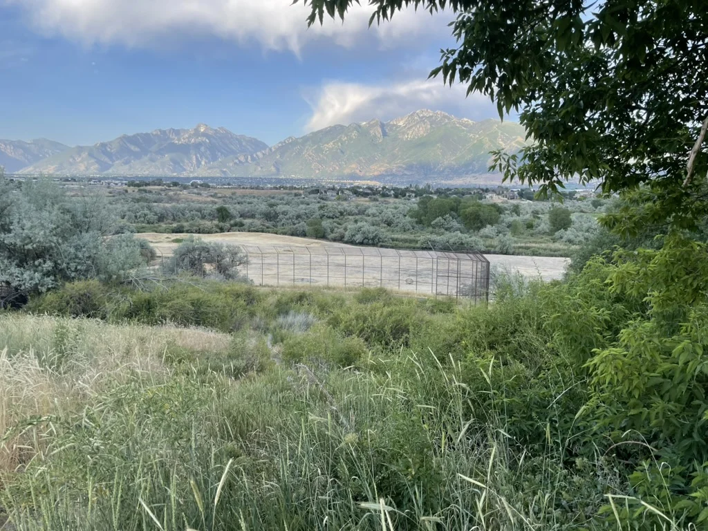 3C612693-AC67-4BC0-850A-0D4AE4476D20_1_105_c.jpeg