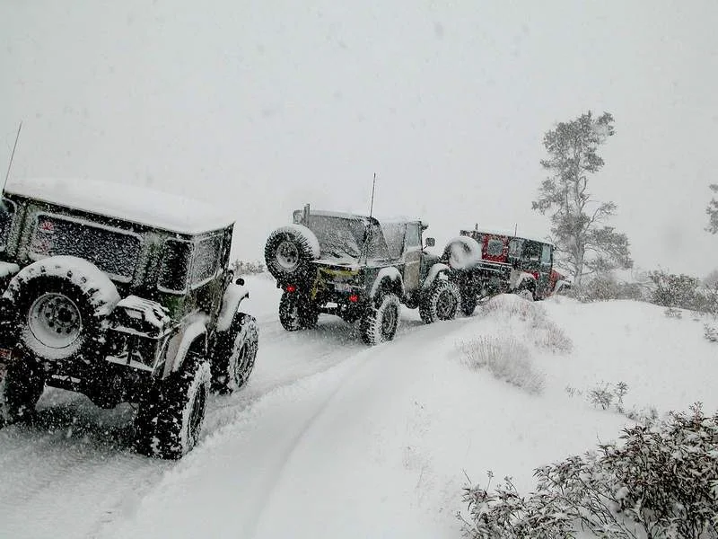 3crsinsnow.webp