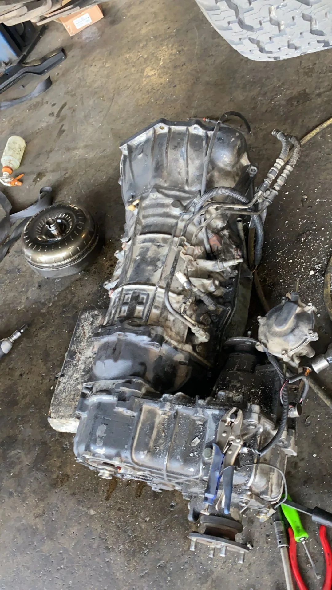 3D09E1D1-5A46-4966-A240-779A06087490.jpeg