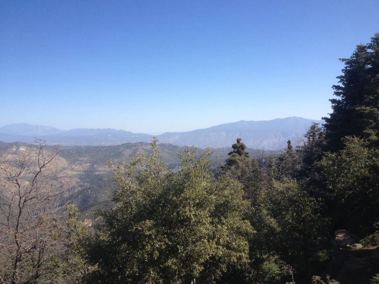 4-13-15 081.webp