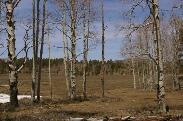 4-28-2008_6.webp