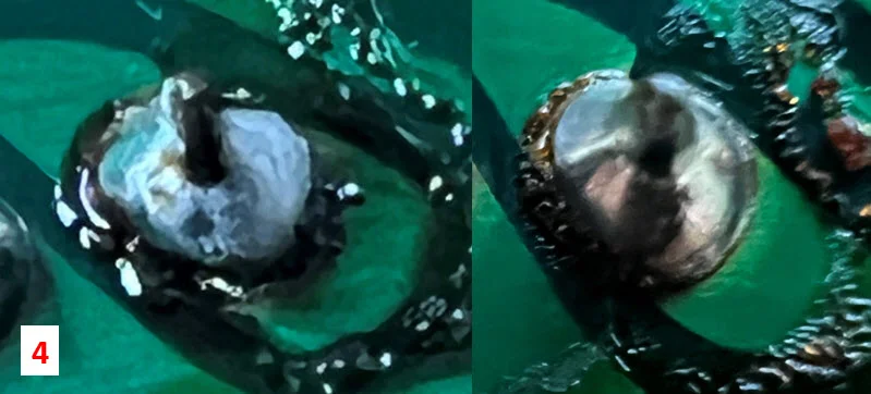 4 before-after.webp