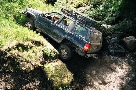 4. Rod Climbing.webp