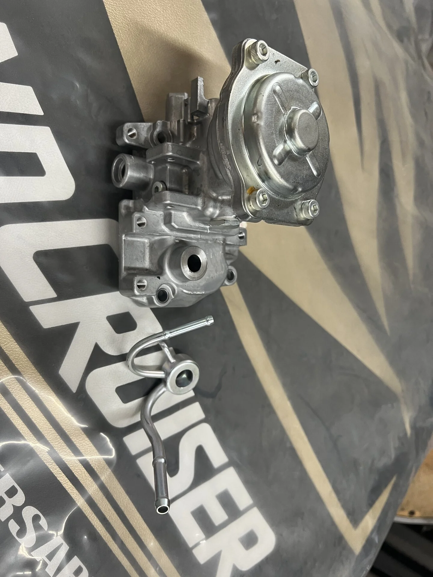 40D72F9E-F31B-4C65-B8CA-C657337225F9.jpeg
