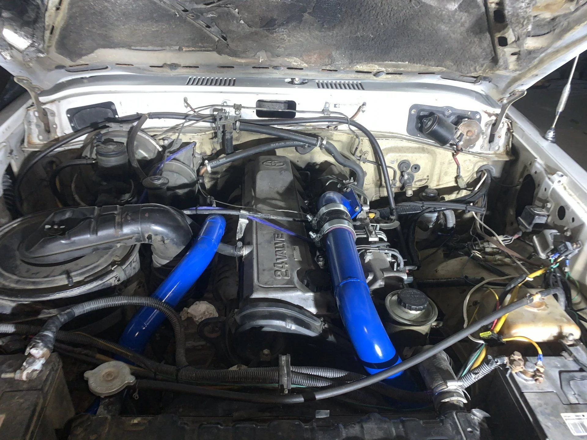4266EB33-DAF4-469E-B477-A0CB021B089F.webp