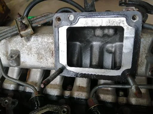 43528.jpg
