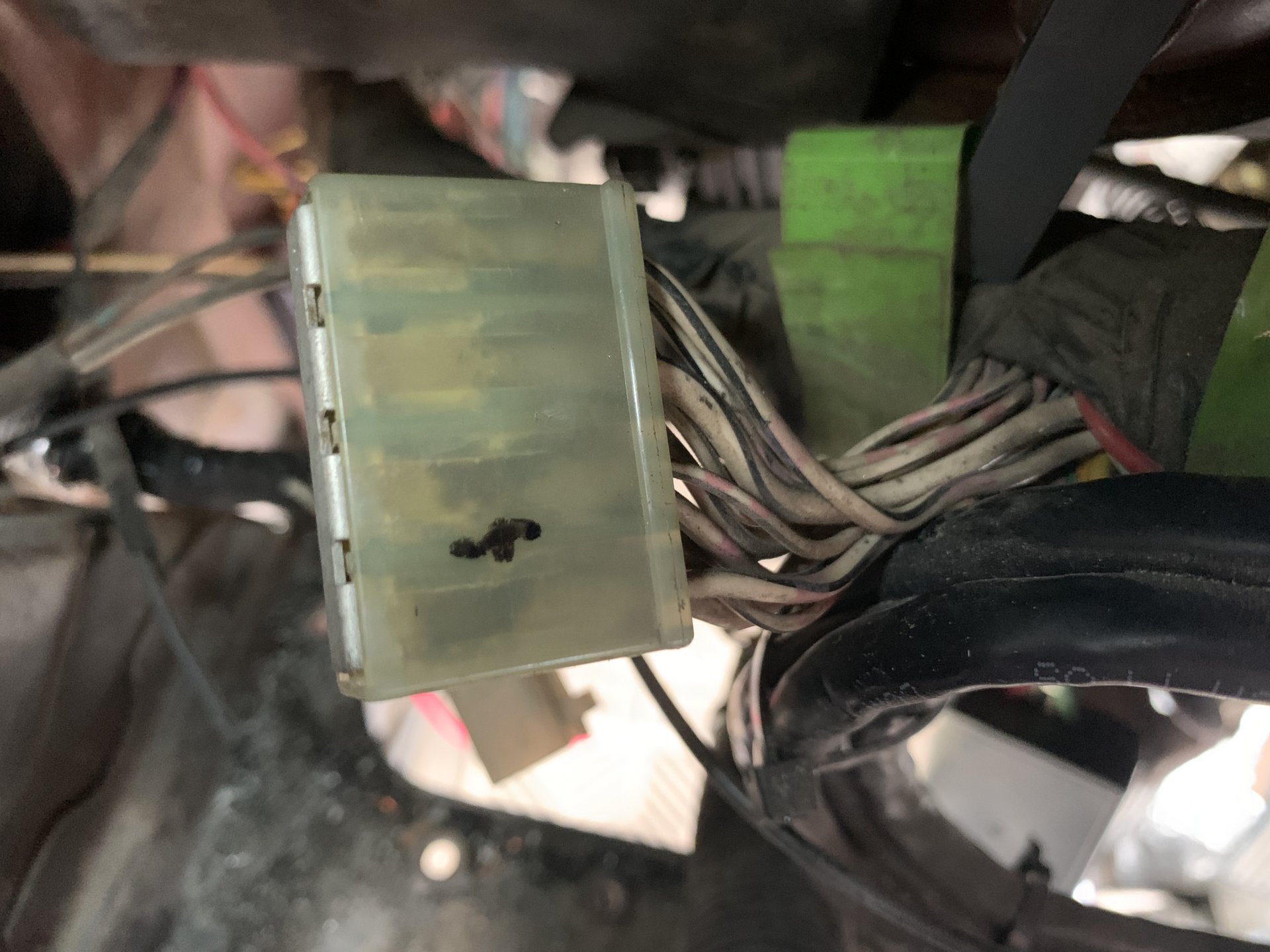 4B55C289-A12A-4BDA-B002-8B4C658056E3.jpeg