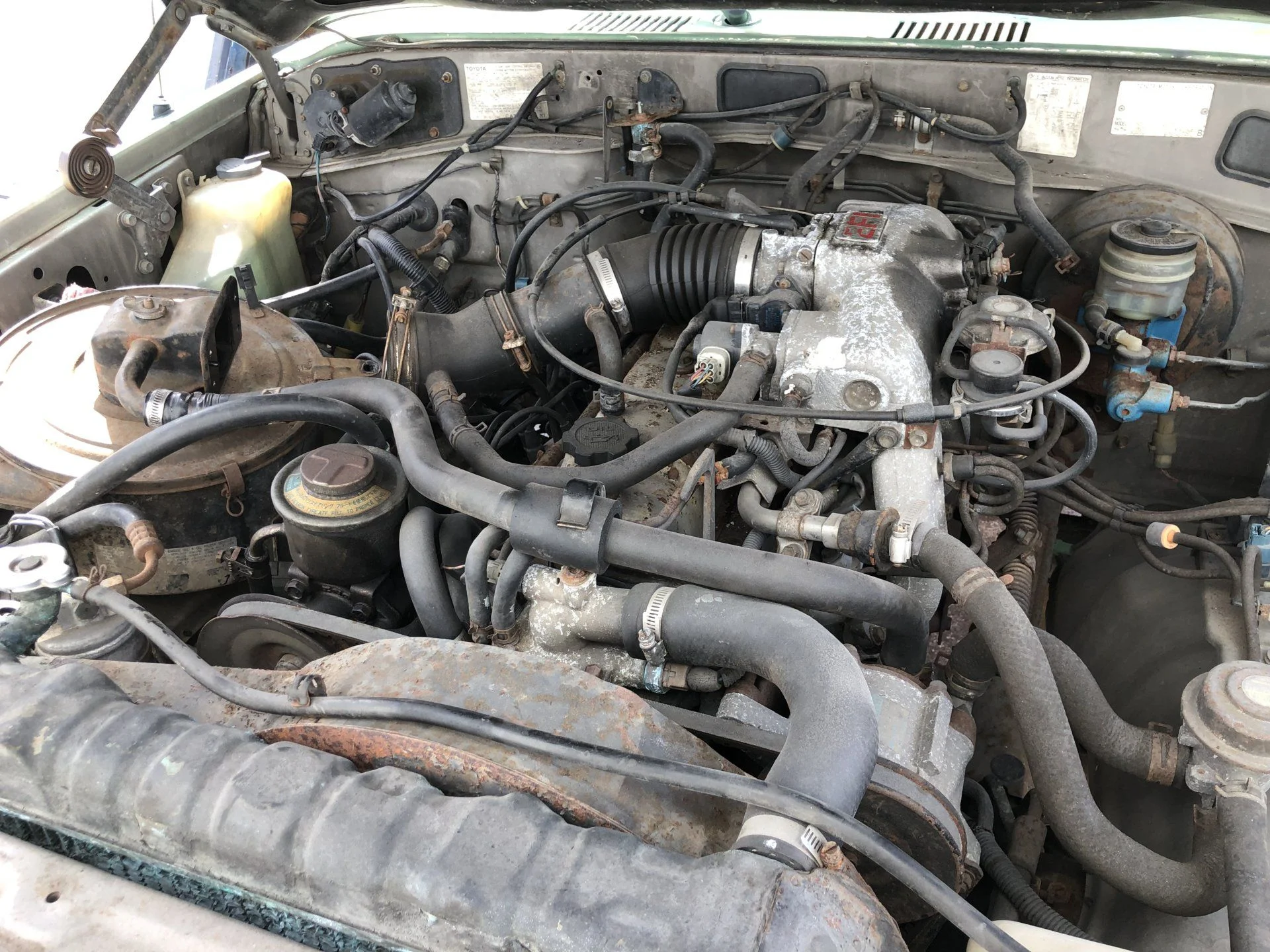 4DED2720-E637-4167-A534-0BC7312F8477.webp