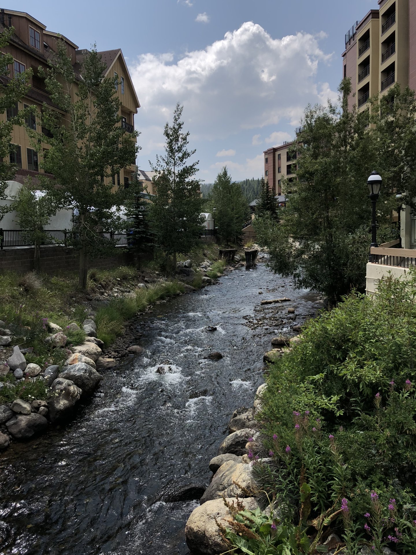 4E27969E-A9E7-4263-99E7-8B5EF0636E95.jpeg