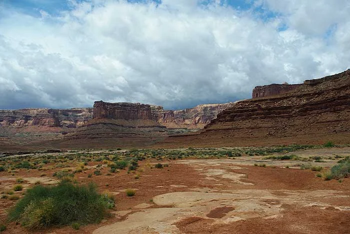 5-2-2009_10.webp