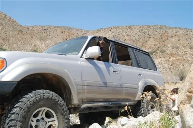 5-26-07 095 (Small).webp