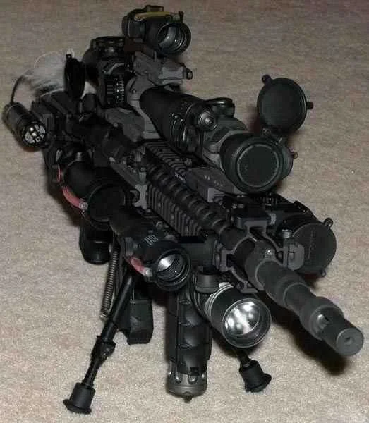 50lb 556.webp