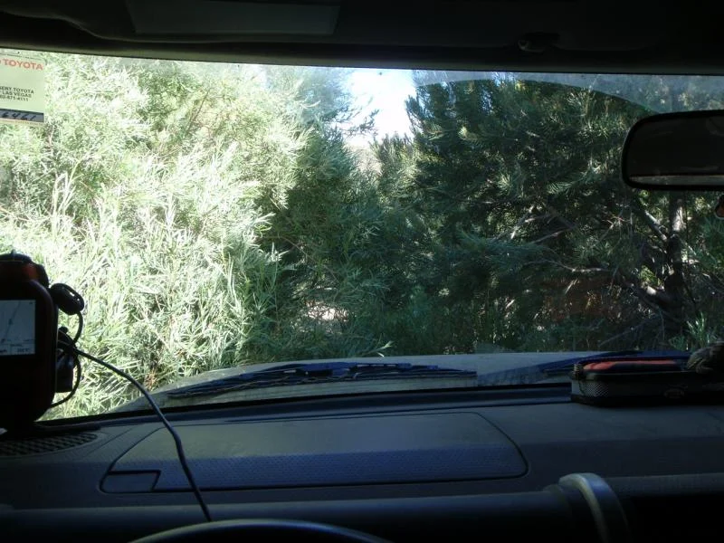 52a Fourmile Canyon.webp