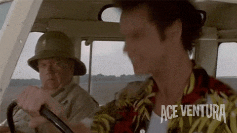 52EA431C-27C6-484B-B918-7DFF84070B04.gif