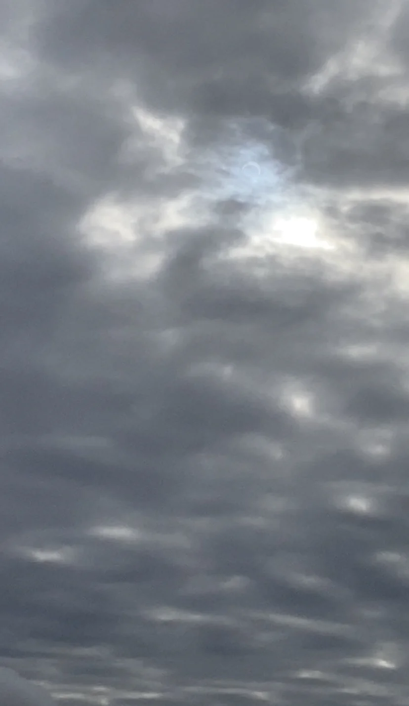 534D2D68-7219-4CF7-919D-1F2E384F285D.jpeg