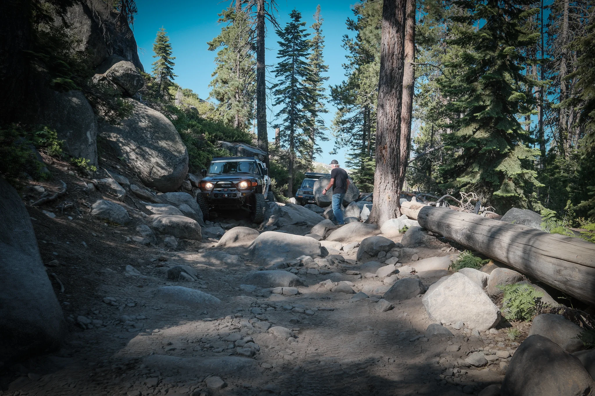 54635439723_f41ba3c010_k.webp