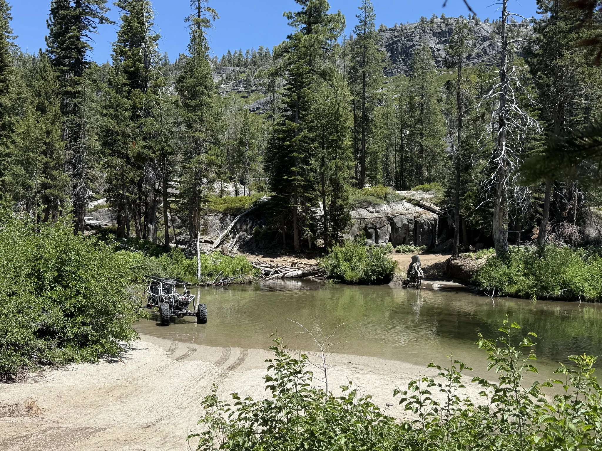 54645894082_9e4cfe575e_k.webp
