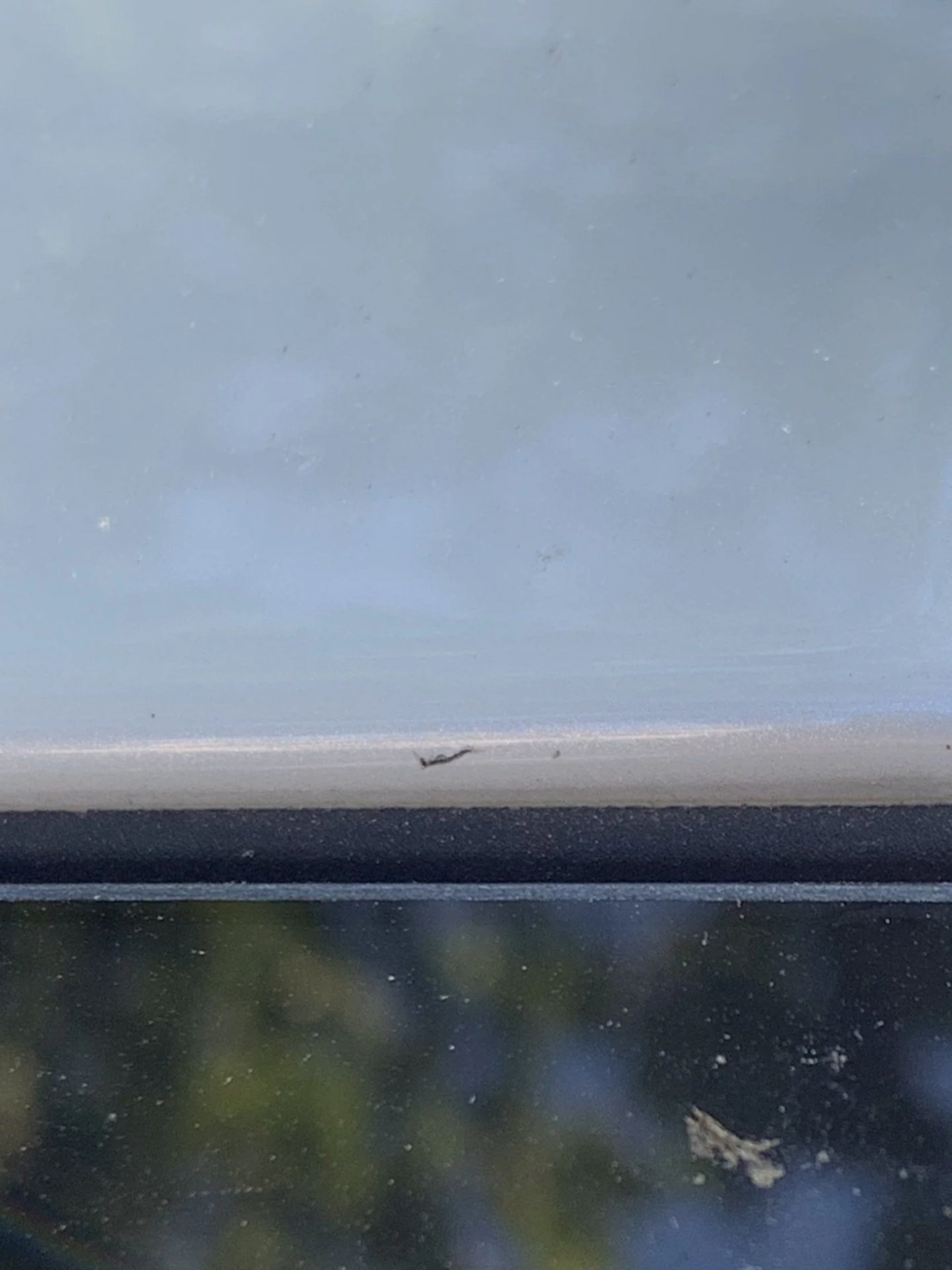 5653BCC2-272D-4901-8DF6-F20FFC5E089C.jpeg