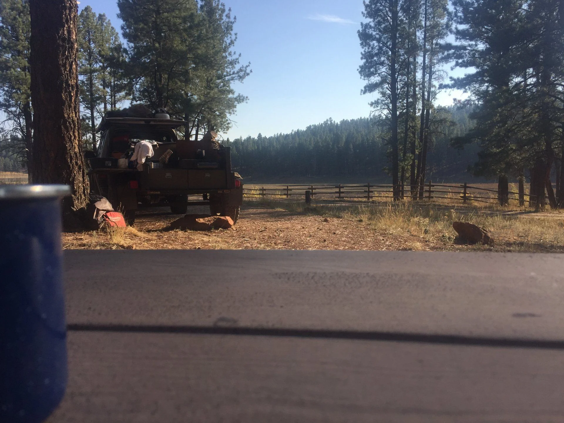 57A053D1-3AB8-40F5-8104-A7CE2C0AEC21.webp