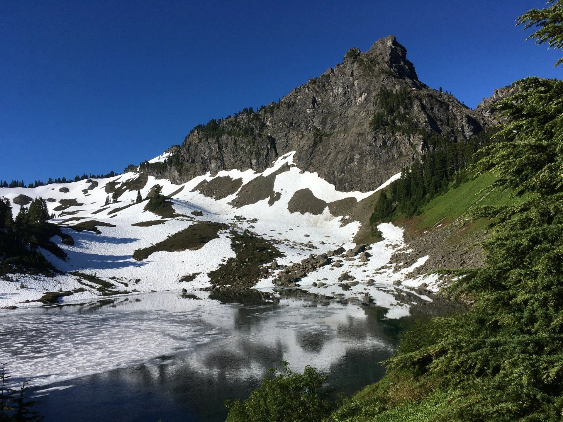 5A31935D-EF80-4755-A1EF-FEDB5D6276B6.webp