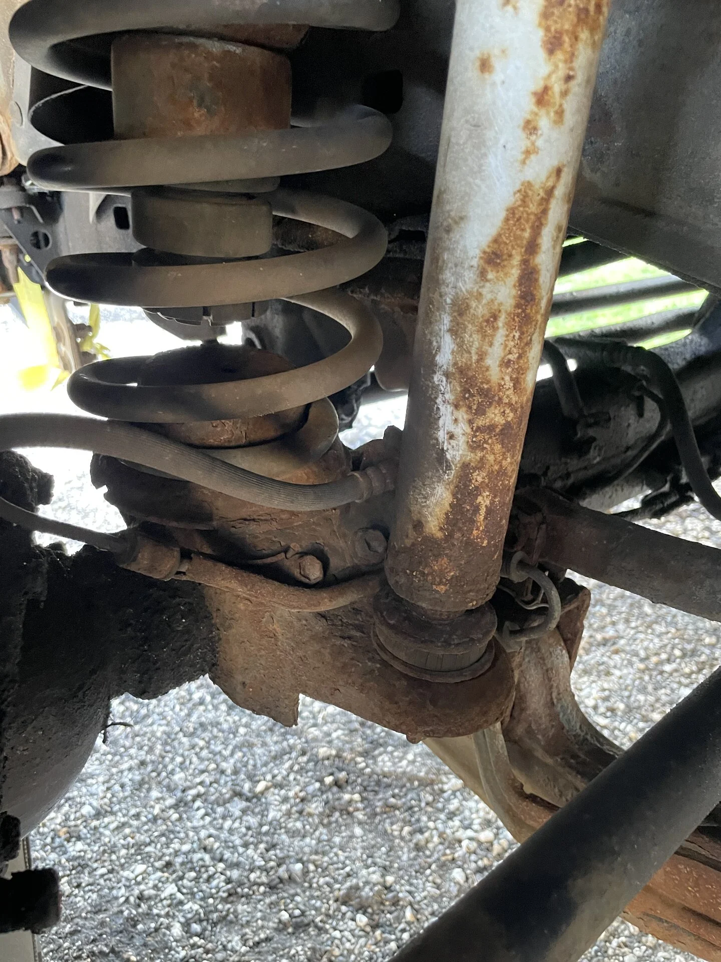 5F50CC8A-6FCA-4CC3-8412-A2DC6B0396F8.webp