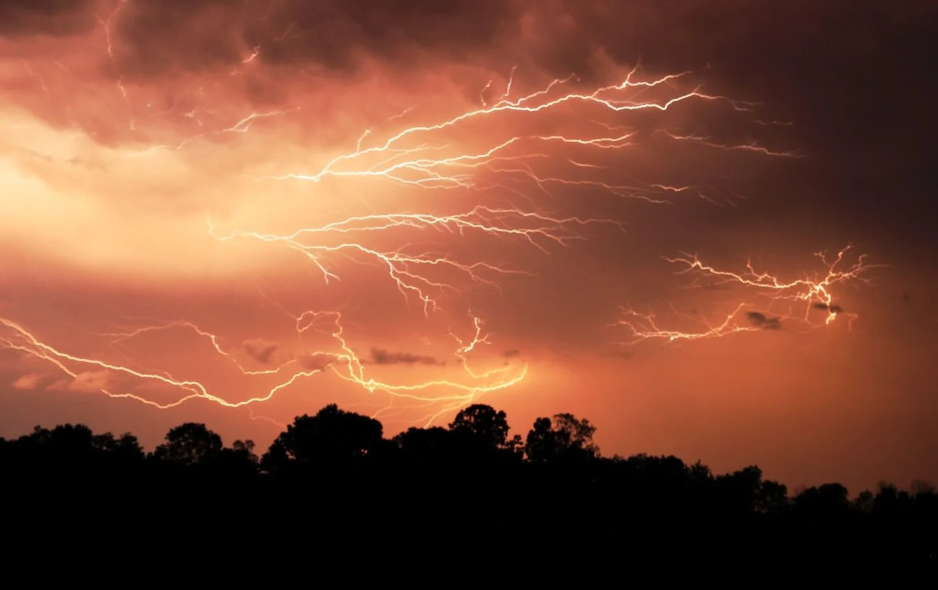 5J5A1054A.webp