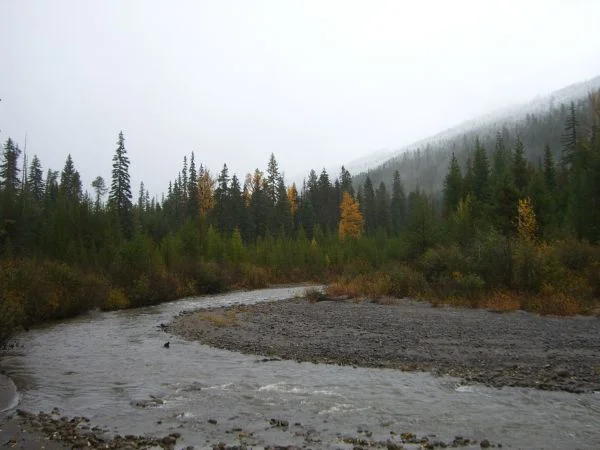5white.river.webp