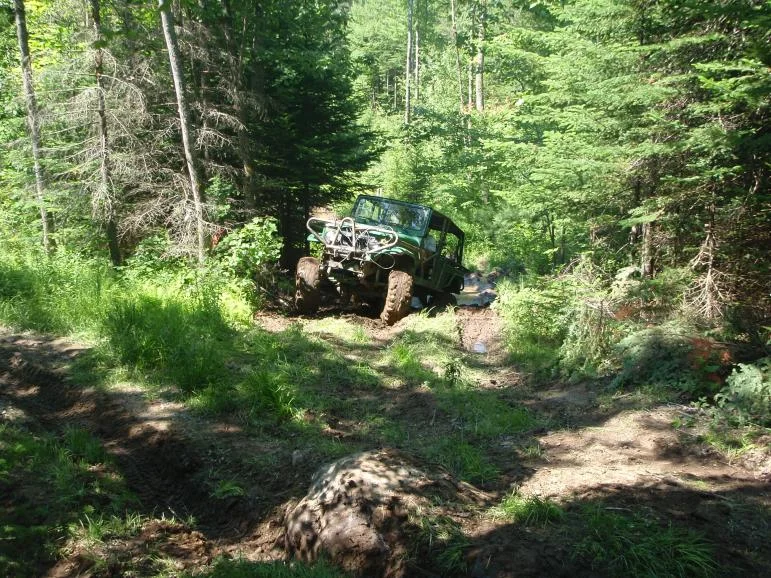 6-20-10 013.webp
