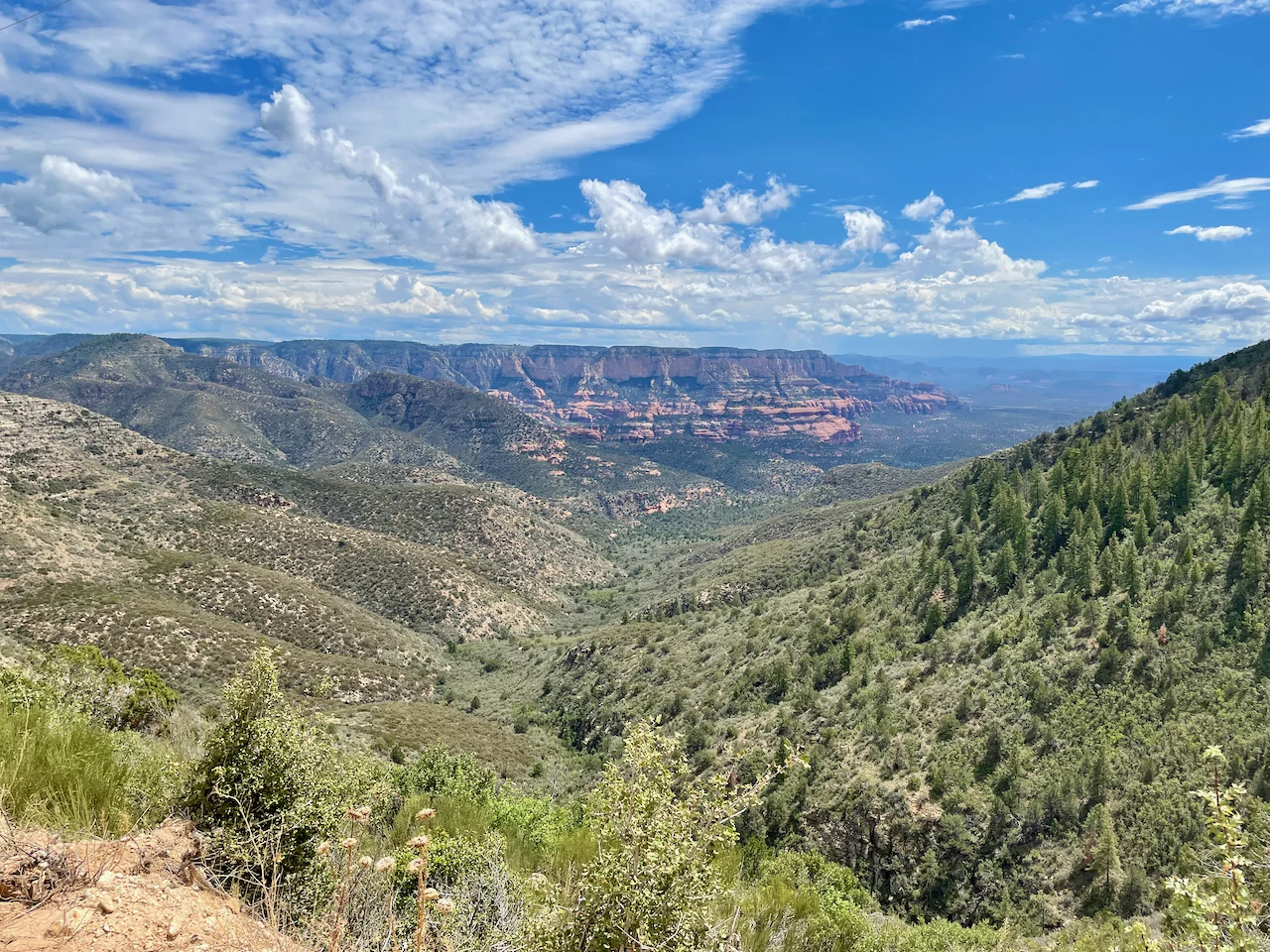 6 Casner View From the Saddle 1.webp