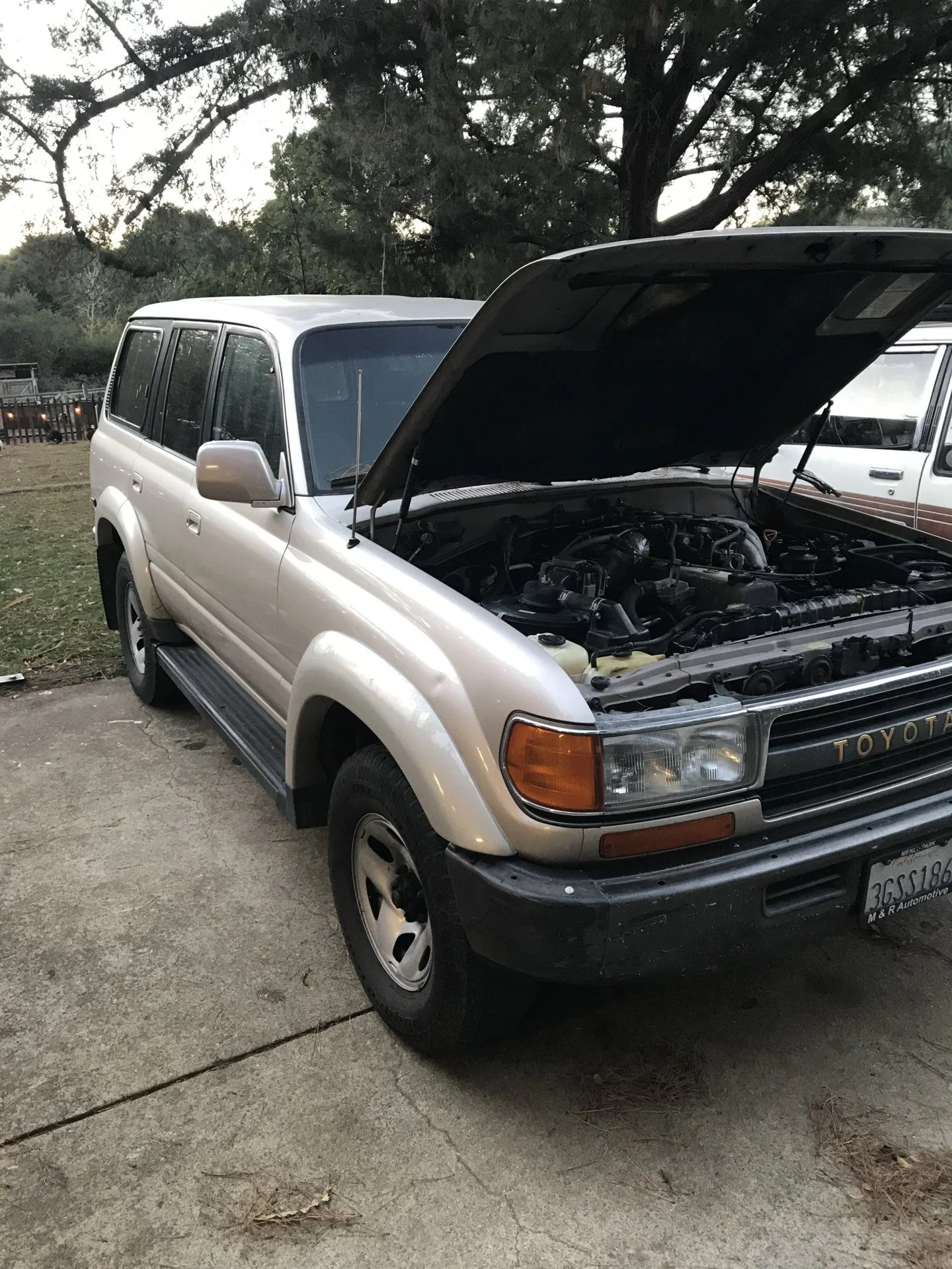 1994 fzj80 locked project