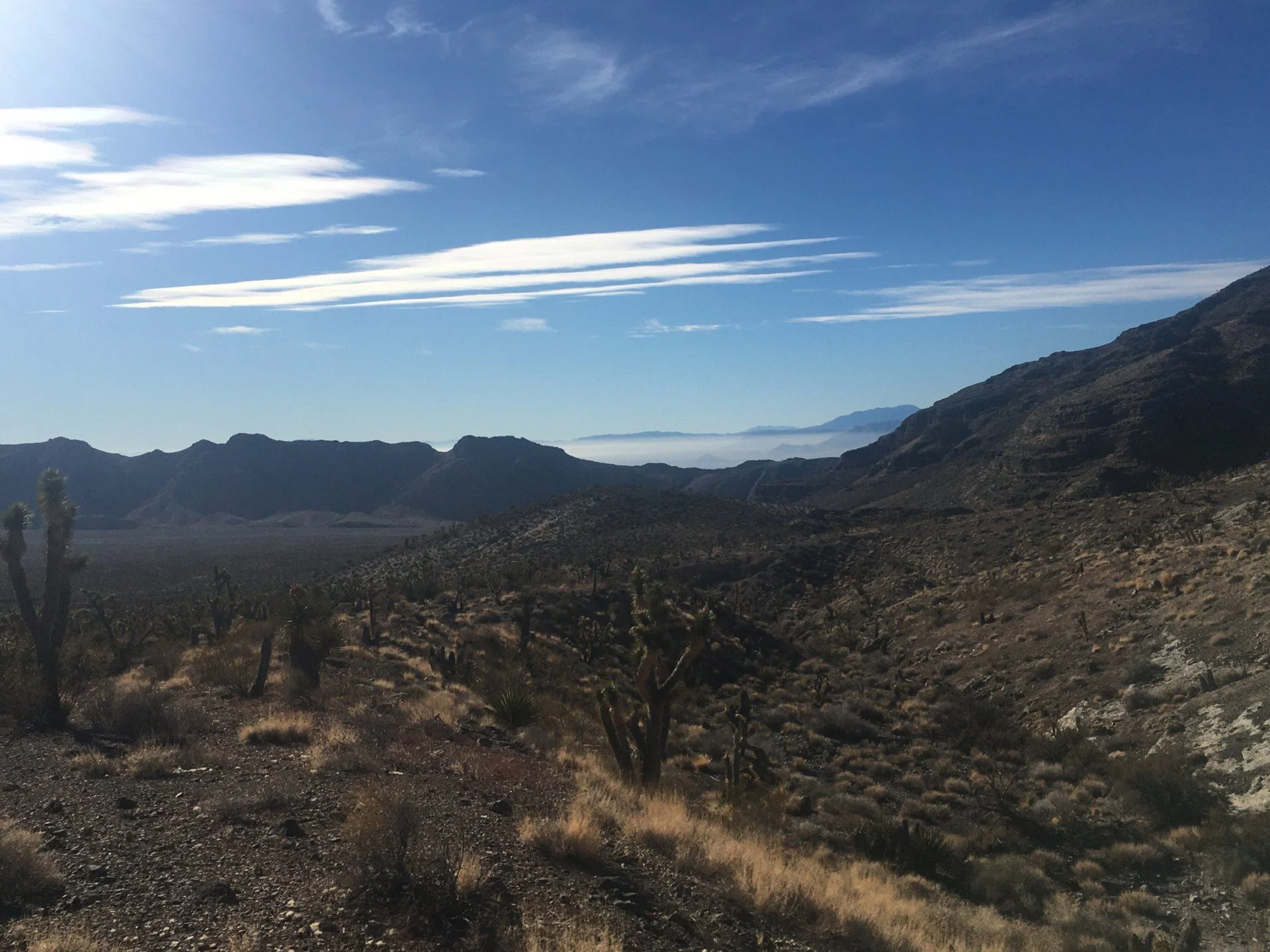 638DF619-2FE8-4864-AC84-DF1CCE3197D4.jpeg
