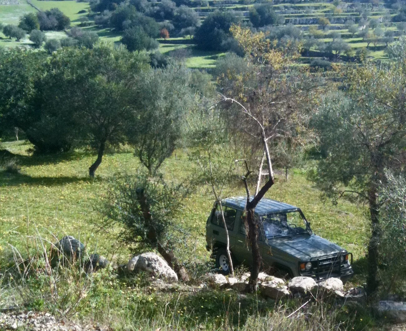639D58AB-C071-4B2B-8276-799601C56CB7_1_201_a.webp