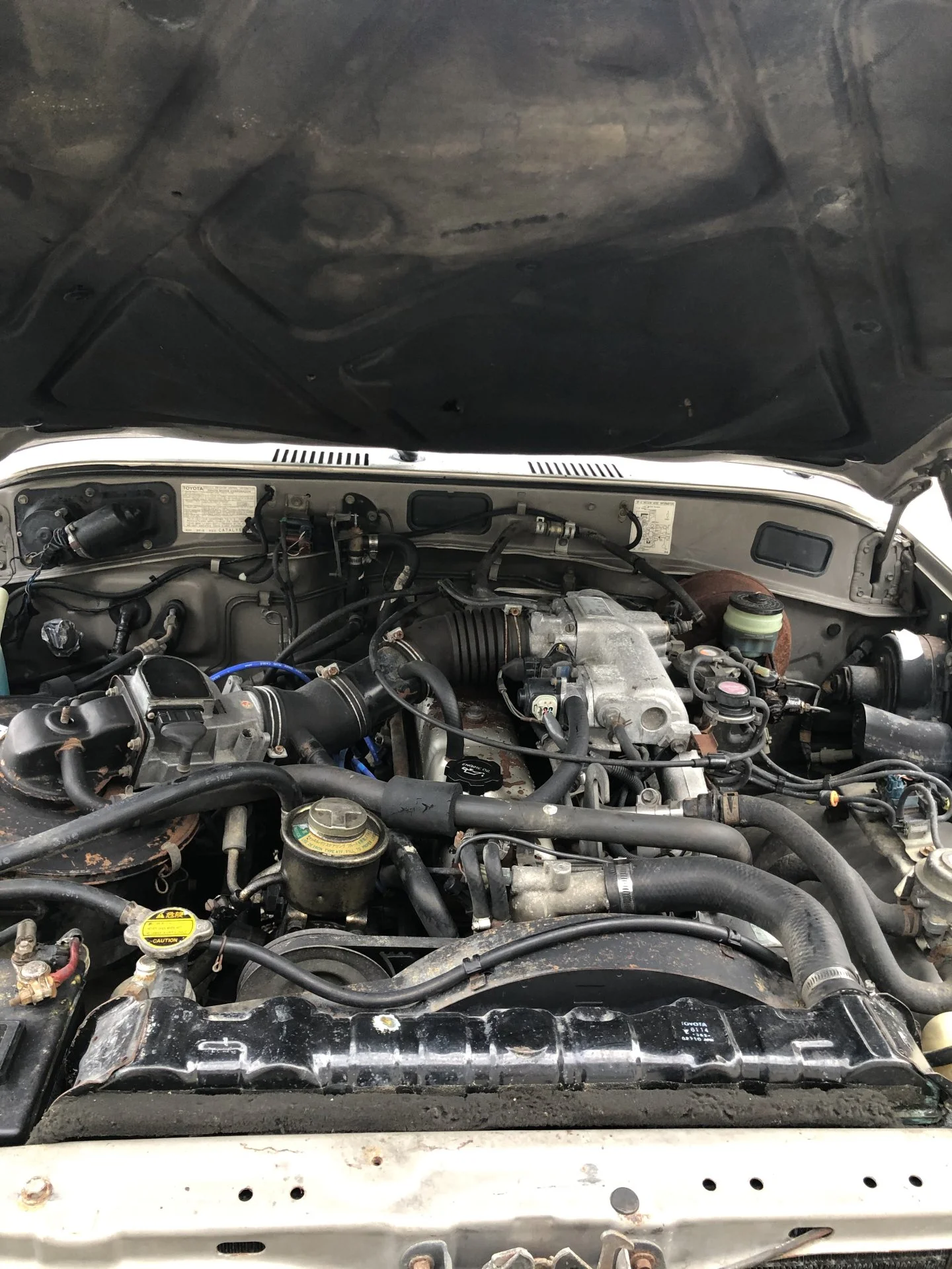 67C732F2-4438-4199-8374-8685E7412FCA.webp