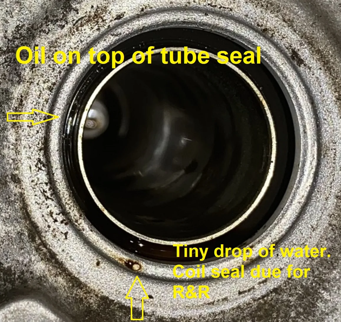 7 (1)water.jpg