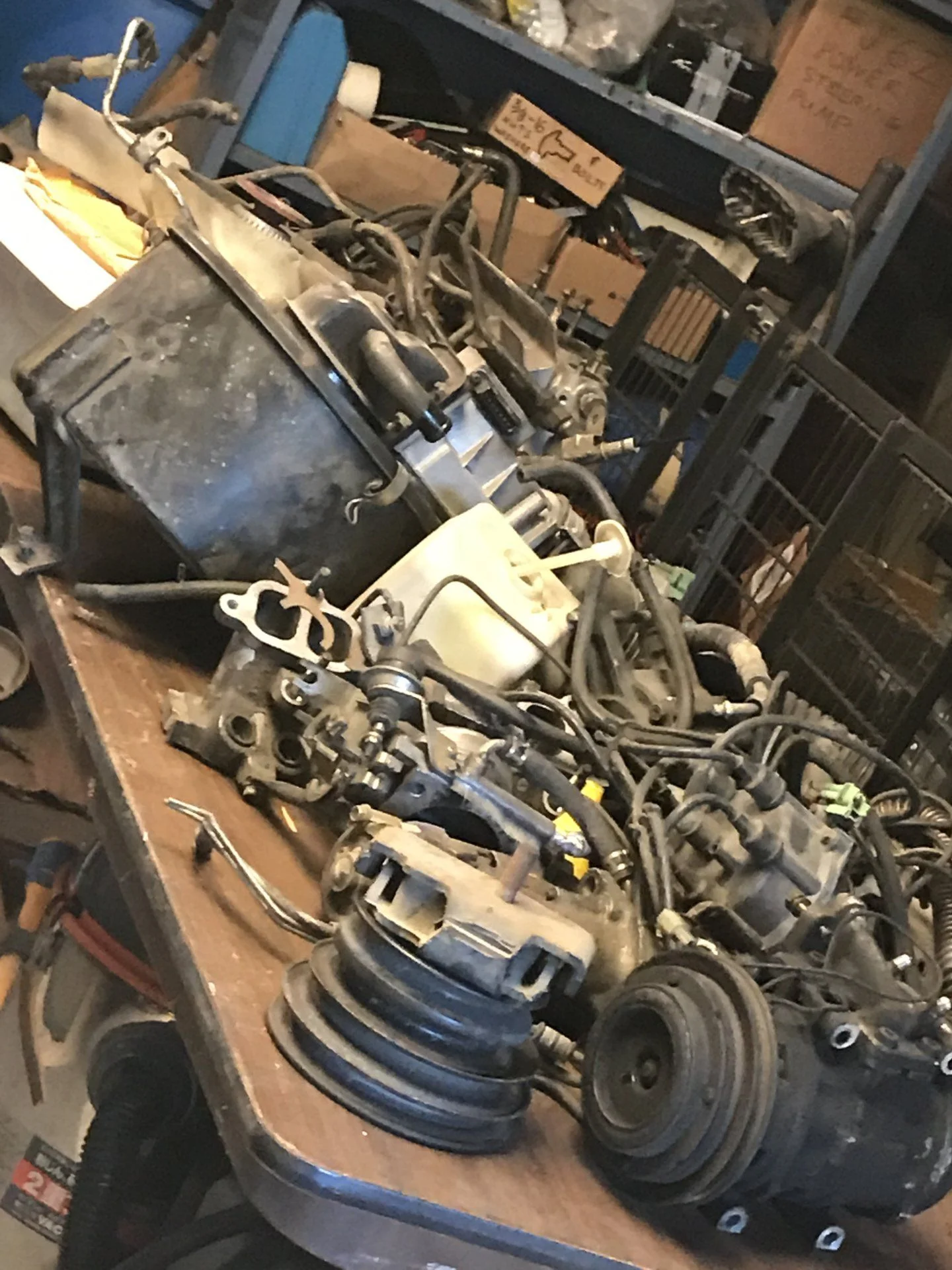 704FFB42-561E-42DE-B0F7-9328B0939AA2.jpeg