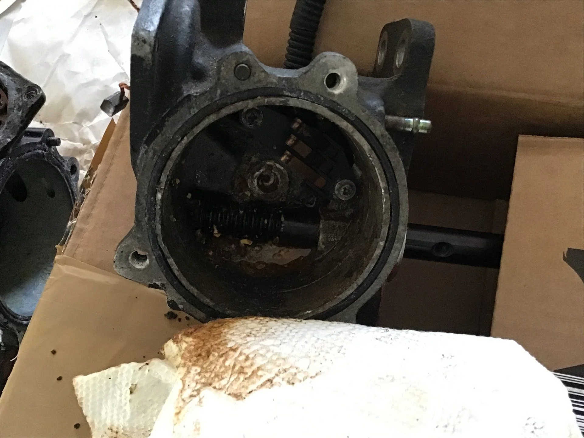 707EF40B-1364-474A-A4BF-C0DCFD91ECD8.webp