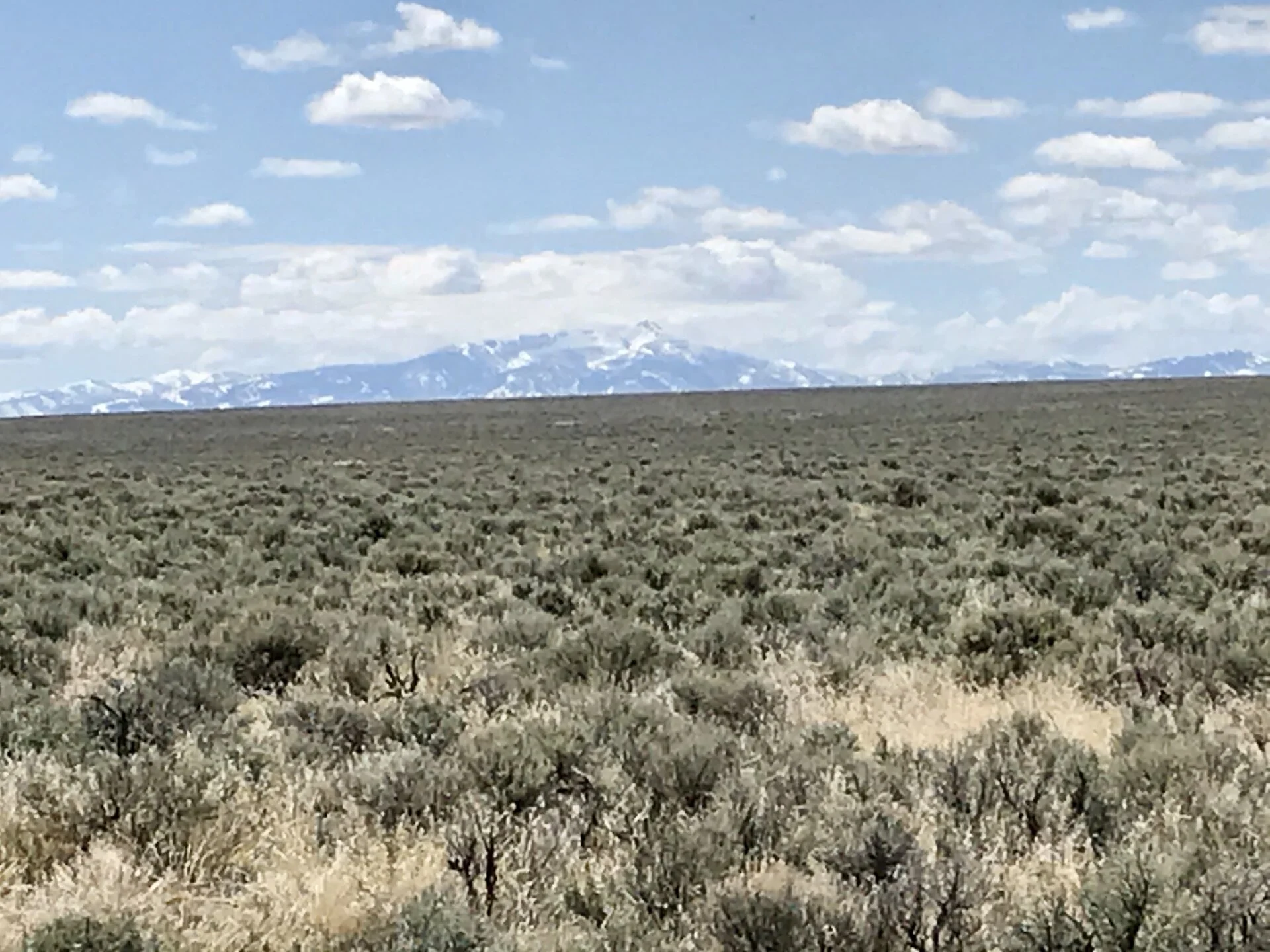 71166467-25D3-4C5D-AD97-13611C2DC6CB.jpeg