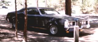 71Coug 2.jpeg