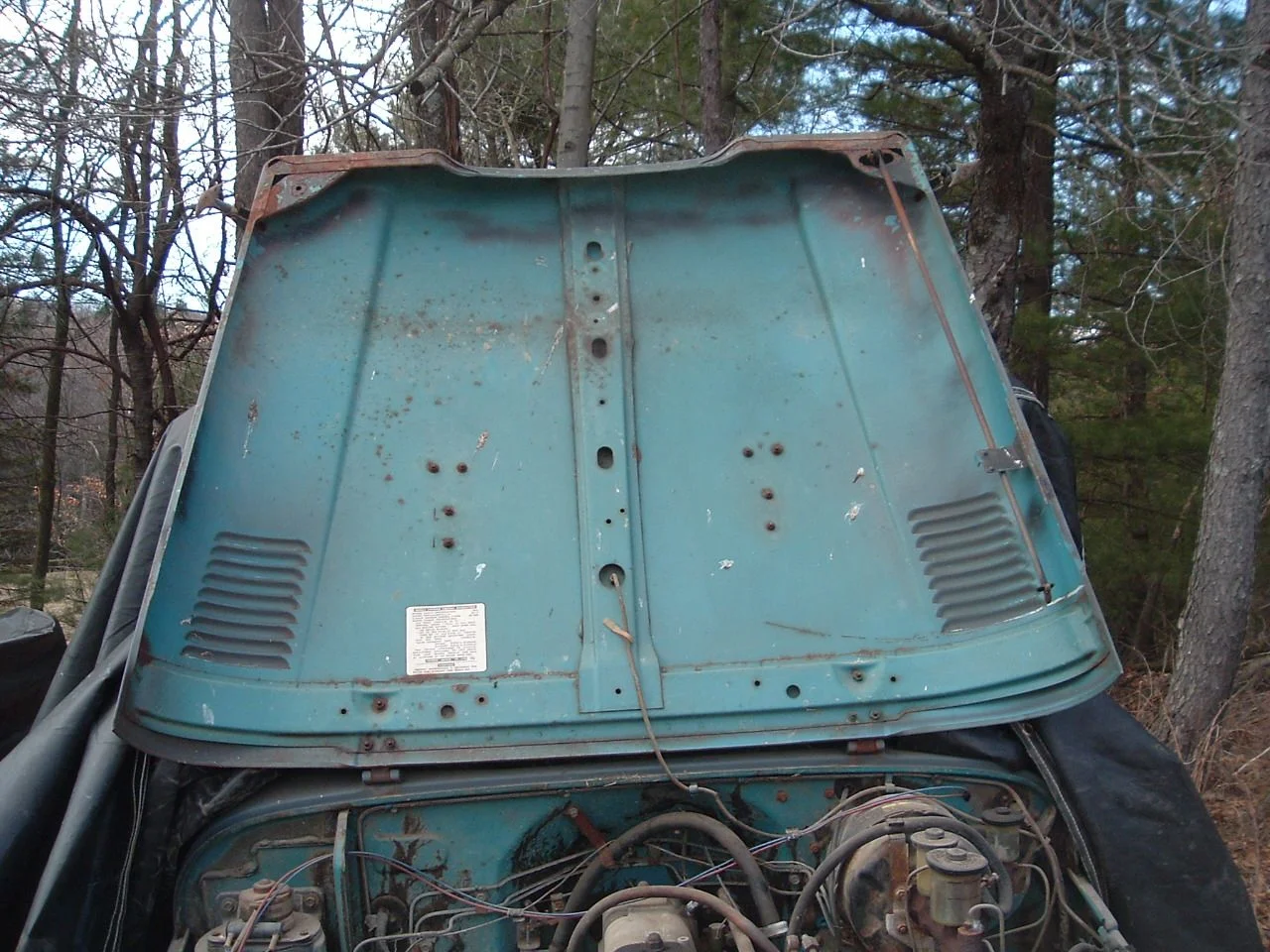 73 hood underside.jpg.webp