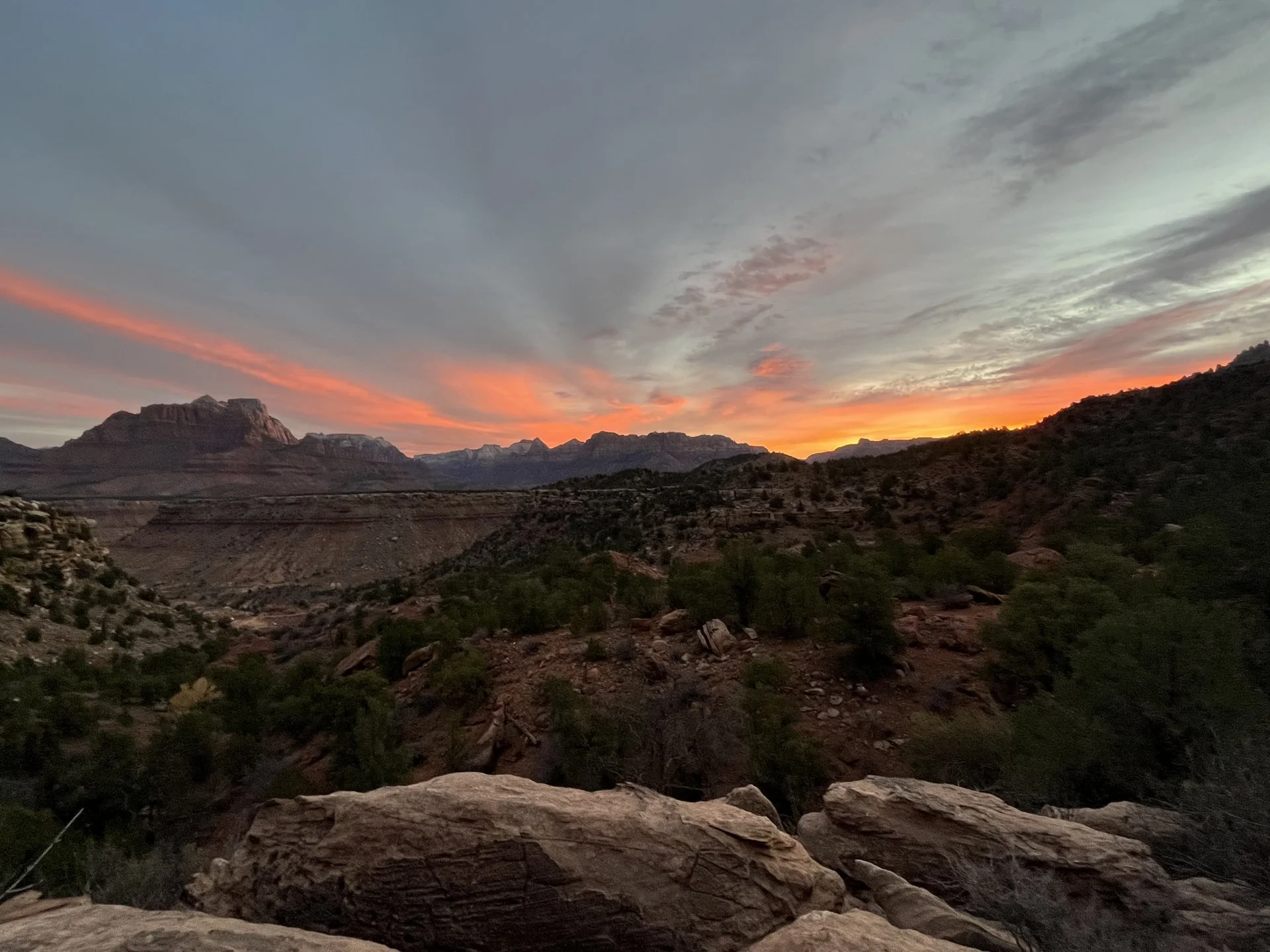 74C17042-C6BB-4B76-A186-232B0E29F141.webp