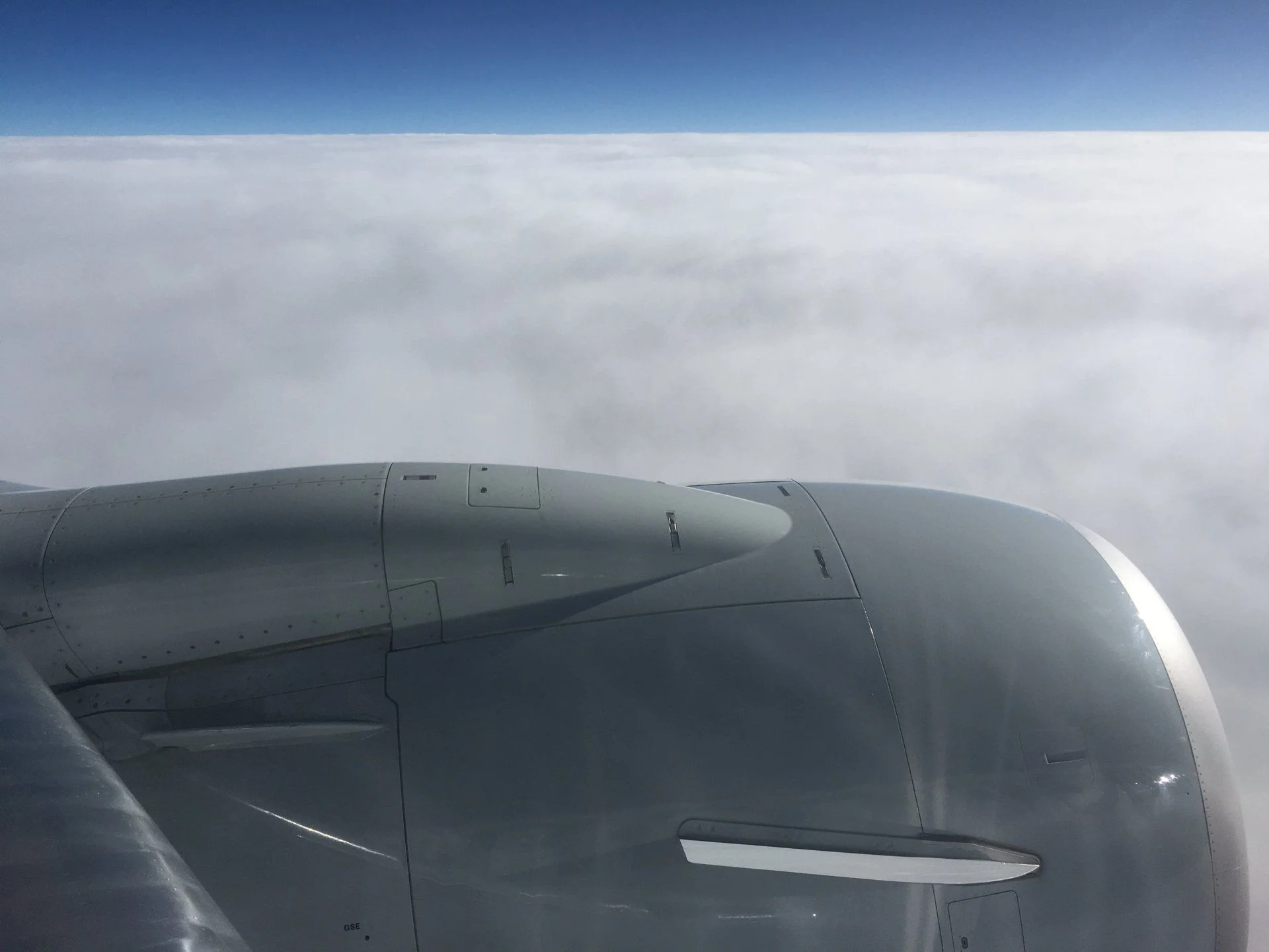 77E4F182-20F9-4295-9516-0CDAA12A8936.webp