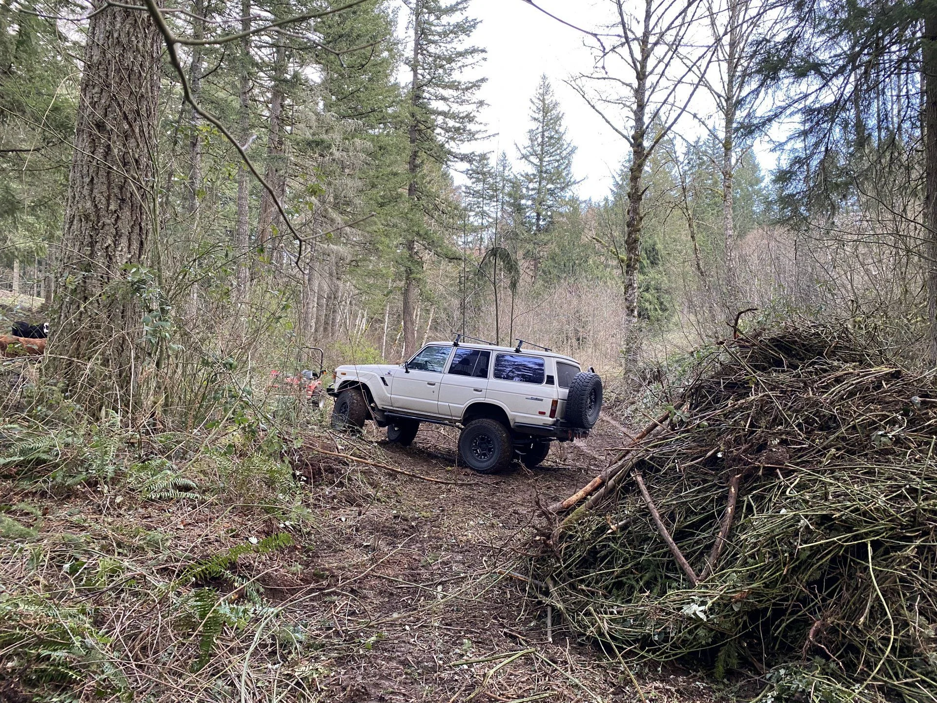 78B09832-F989-472F-82B2-727DBC4CBE3A.webp