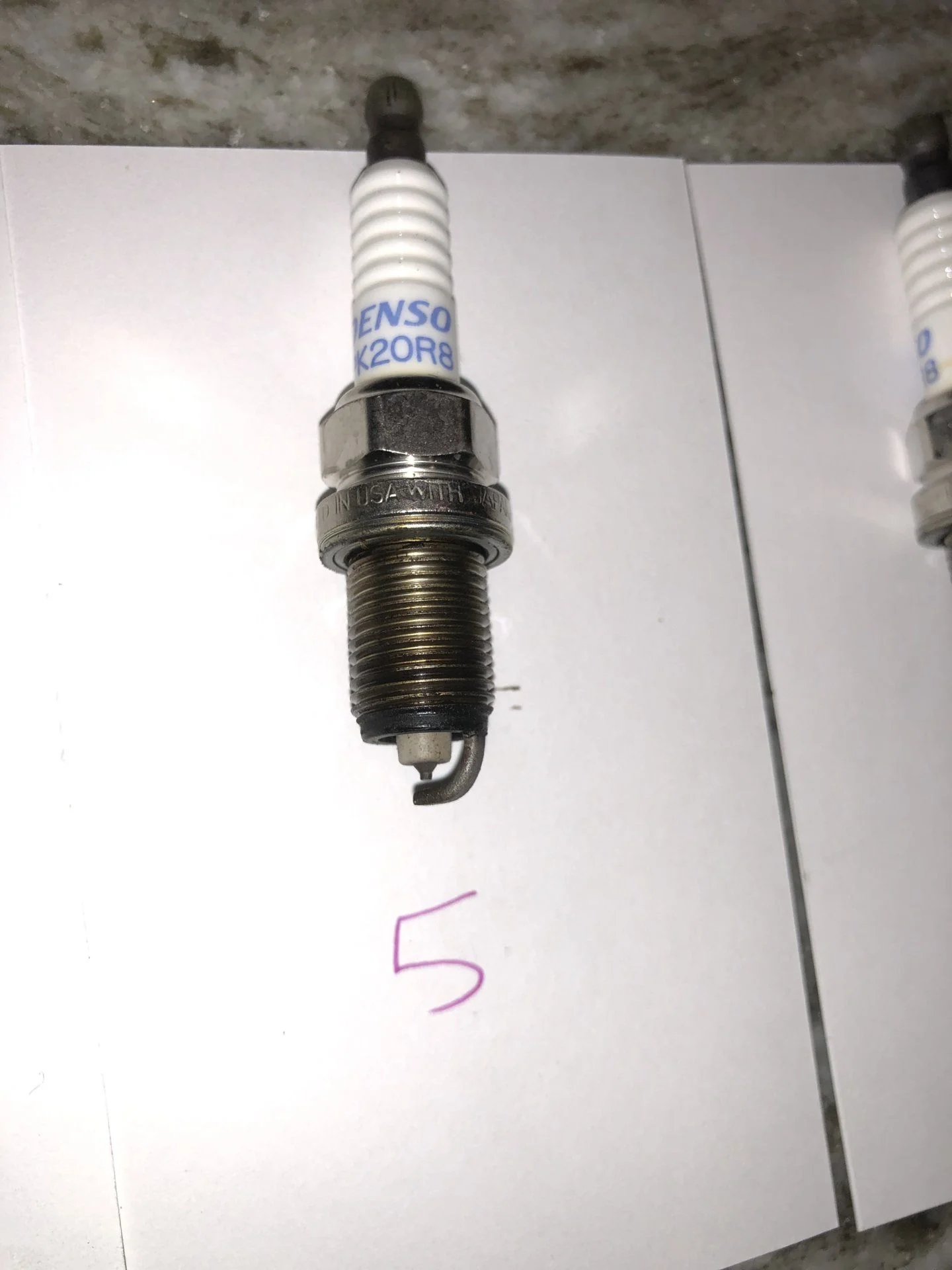 7A3004DC-D860-4BC1-8A7B-ABDA0EC7401E.webp